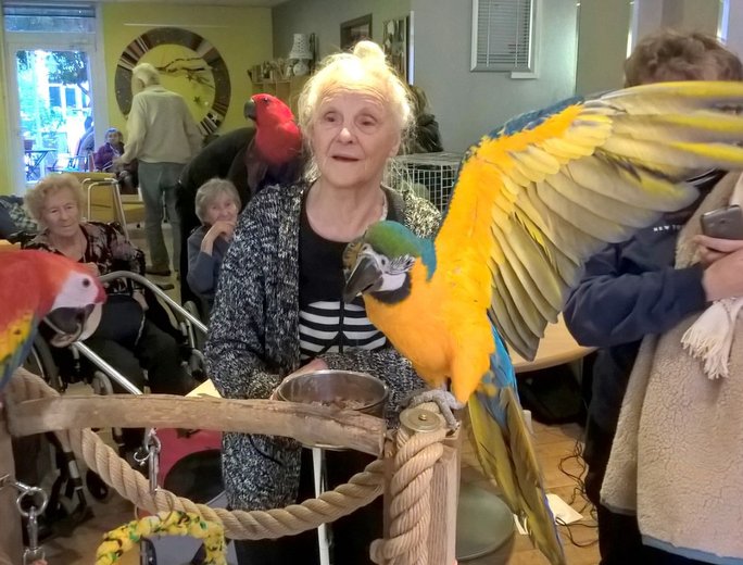 Попугаи общаются со своими новыми друзьями в доме престарелых