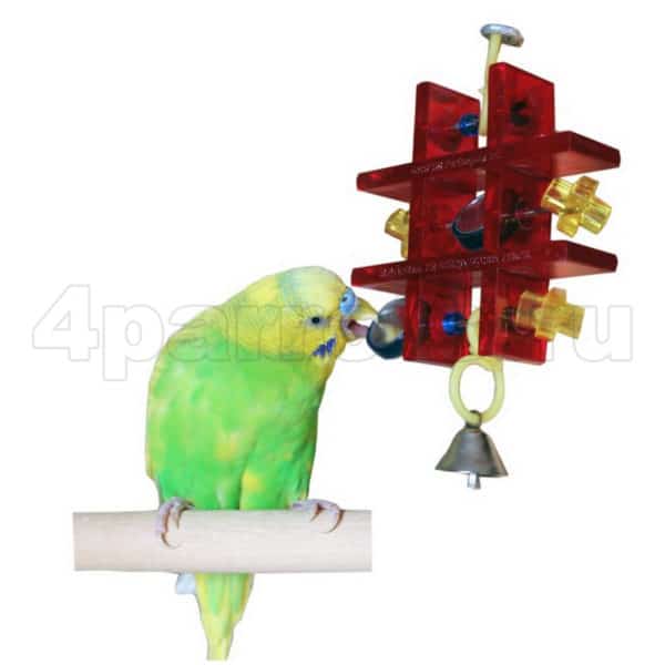 Волнистый попугай с игрушкой Крестики, нолики