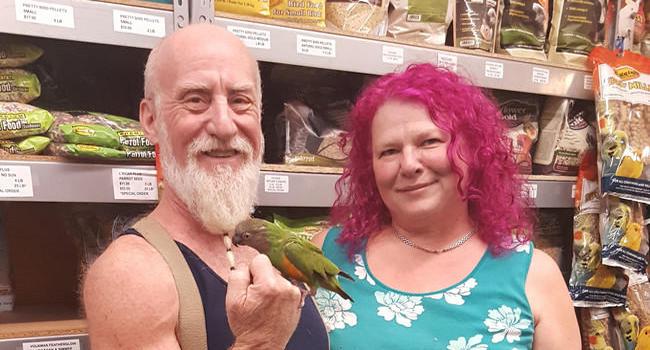 Кэтрин и Митч с попугаем в собственном магазине для пернатых