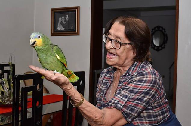 Изаура Дантас со своим попугаем Леозиньо, пока суд не вынес окончательное решение после апелляции