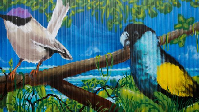 Масштабный уличный рисунок с изображением исчезающих видов попугаев