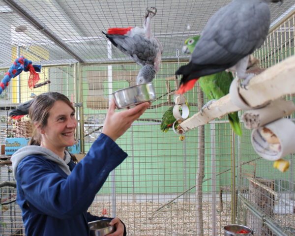 Катрин кормит попугаев в приюте
