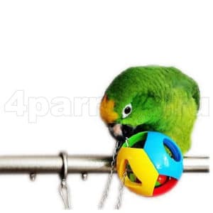Попугай амазон с погремушкой Фигурный шар