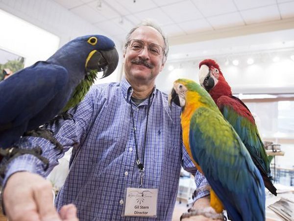 Гиль Штерн с попугаями в приюте Ruffled Feathers