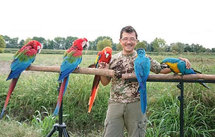 Джанлука Ранзан и его обученные свободному полету попугаи ара