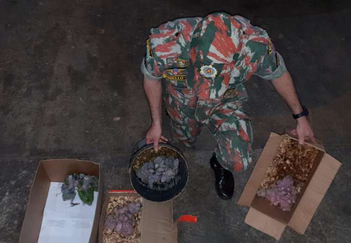 Полицейский пересчитывает в коробках изъятых птенцов попугаев