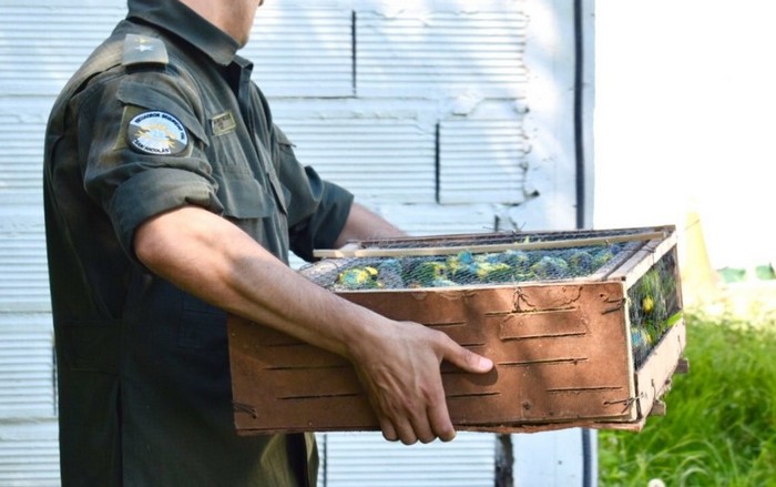 Полицейский переносит коробку с птенцами в помещение