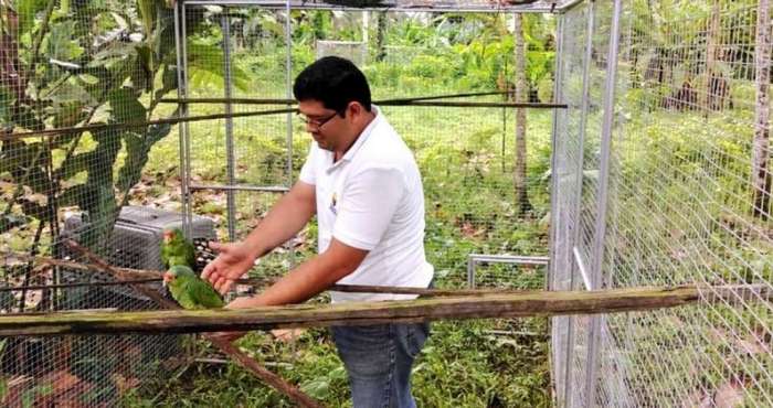 Сотрудник Министерства окружающей среды Эквадора взаимодействует с двумя спасенными попугаями