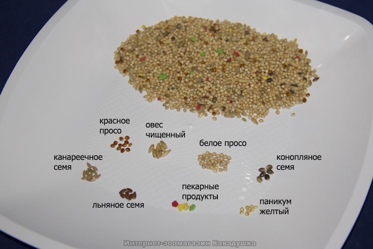 В каких кормах конопляное семян долина конопли в казахстане