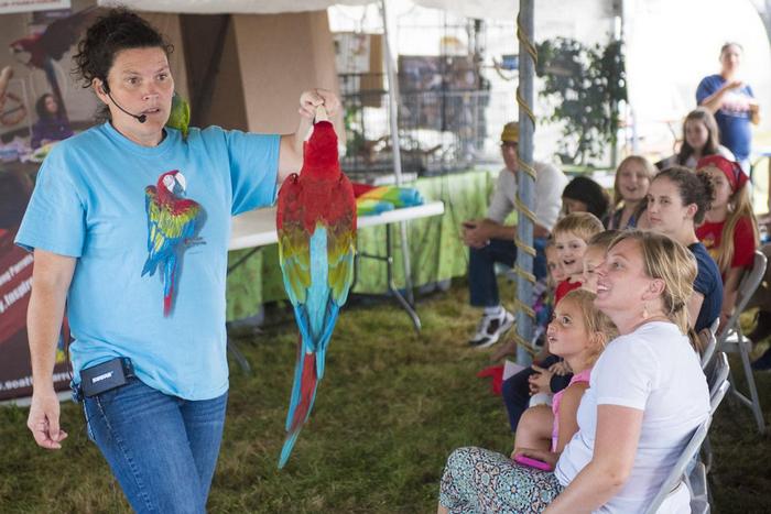 Дебби Гудрич, она же леди-попугай, выступает с пернатыми на выставке в Юго-Западном Вашингтоне