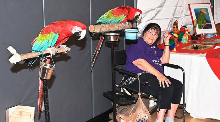Заводчица попугаев и ее пара зеленокрылых ар на выставке в Сиэтле