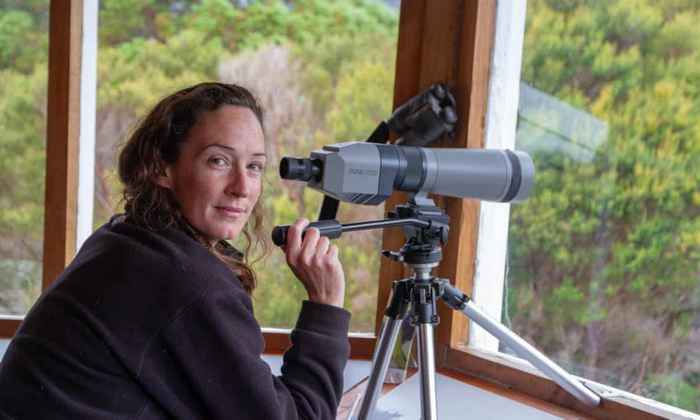 Исследователь-биолог Шэннон Трой на рабочем месте в Мелауке наблюдает за попугаями