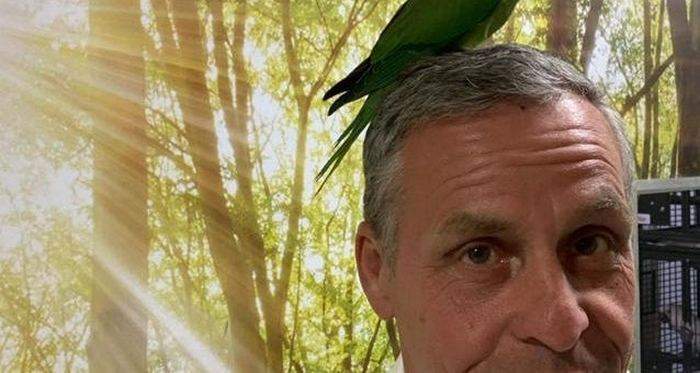 Директор зоопарка Стив Николс с попугаем на голове