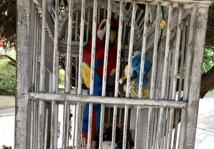 Пластиковый попугай просматривается сквозь решетку клетки в британском Престоне