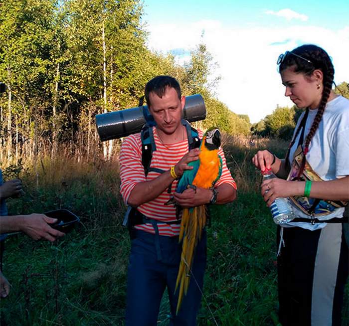 Ижевский турист Сергей уверенно держит на руках найденного в тайге сине-желтого ару