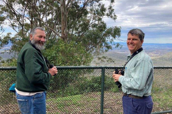 Орнитологи Род и Питер наблюдают за ласточковым попугаем в австралийской Тувумбе