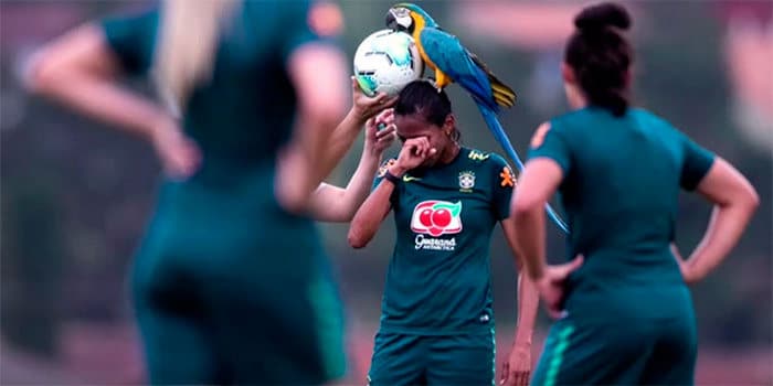 Сине-желтый ара горделиво восседает на голове футболистки сборной Бразилии Бруны Бенитес во время тренировочного матча