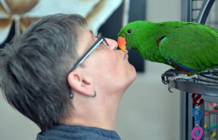 Кэтрин Лондген целуется с вернувшимся домой попугаем Отто