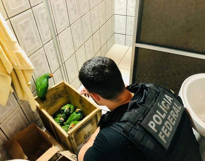 Полицейский изымает молодых амазонов в доме одного из преступников