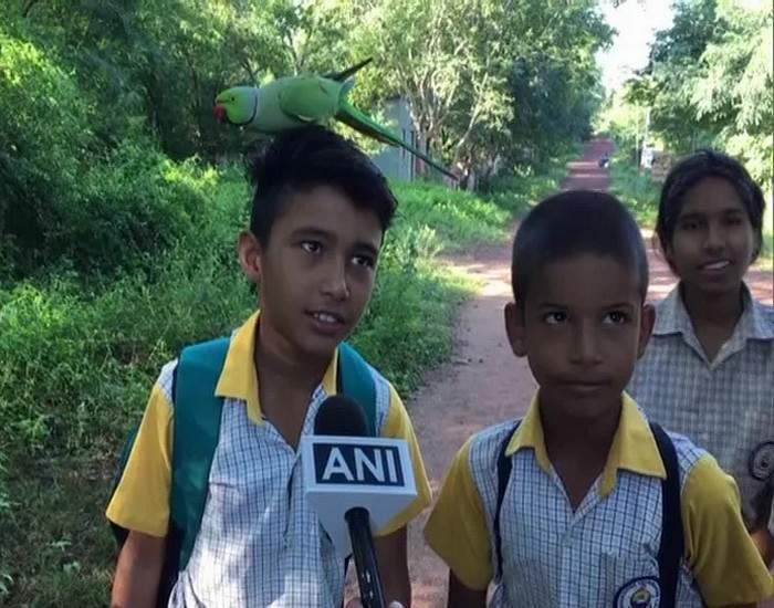 Индийские школьники рассказывают телерепортеру историю дружбы с ожереловым попугаем