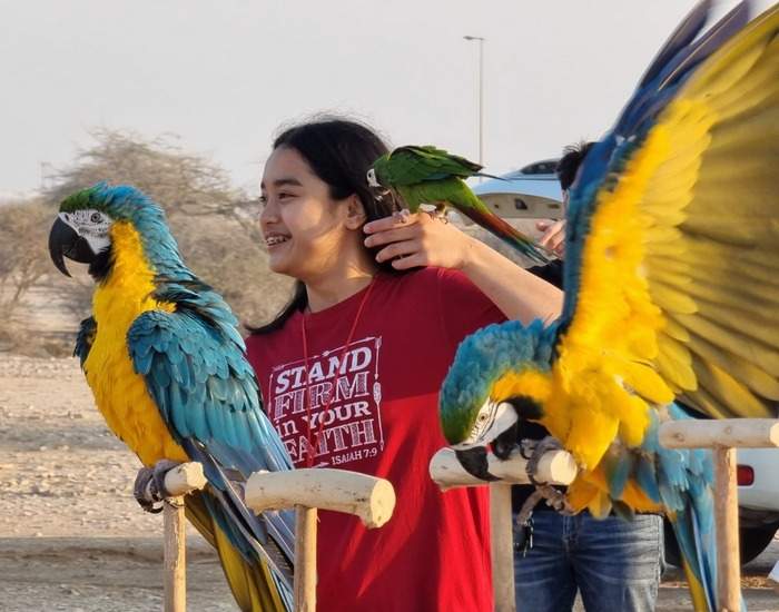 Девушка с попугаями на очередном занятии по свободному полету