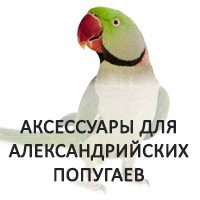 Купить аксессуары для александрийских попугаев в Какадушке