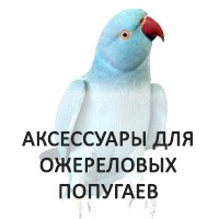 Лучшие цены на аксессуары для ожереловых попугаев здесь