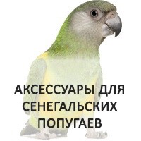 Аксессуары для сенегальских попугаев: легко выбрать и купить
