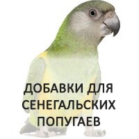 Купить витамины и полезные вкусности для сенегальского попугая