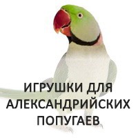 Игрушки-веселушки для александрийских попугаев