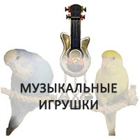 Колокольчики для попугаев – более 30 забав