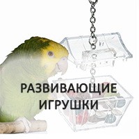 Развивающие игрушки для попугаев – более 50 вариантов