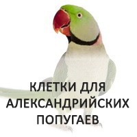 Клетки для александрийских попугаев - свыше 40 моделей