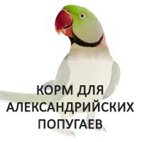 Корм для александрийского попугая – более 50 зерносмесей
