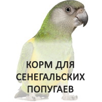 Корм для сенегальских попугаев – более 50 вариантов