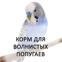 Лучшие корма для волнистого попугая в интернет-магазине Какадушка