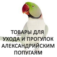Интернет-магазин товаров для александрийских попугаев