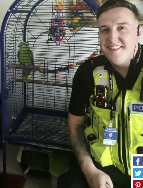Полицейский и попугай