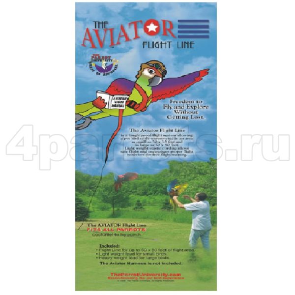 Aviator Flight Line Линия полета