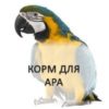 Ара