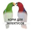 Эклектусы