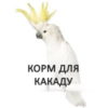 Какаду