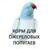Ожереловые попугаи