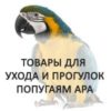 Ара
