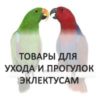 Эклектусы