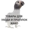 Жако