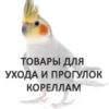 Кореллы