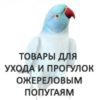 Ожереловые попугаи