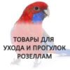 Розеллы