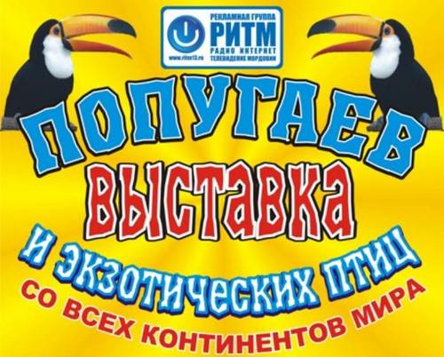Афиша выставки попугаев и экзотических птиц